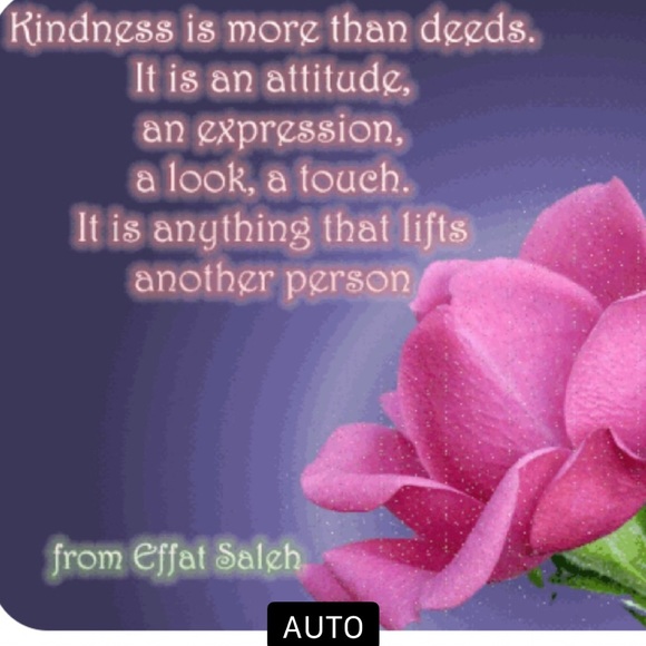 Meet your Posher, Kim - Picture 2 of 2